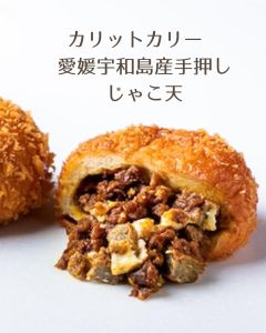 カリットカリー　愛媛宇和島産手押しじゃこ天